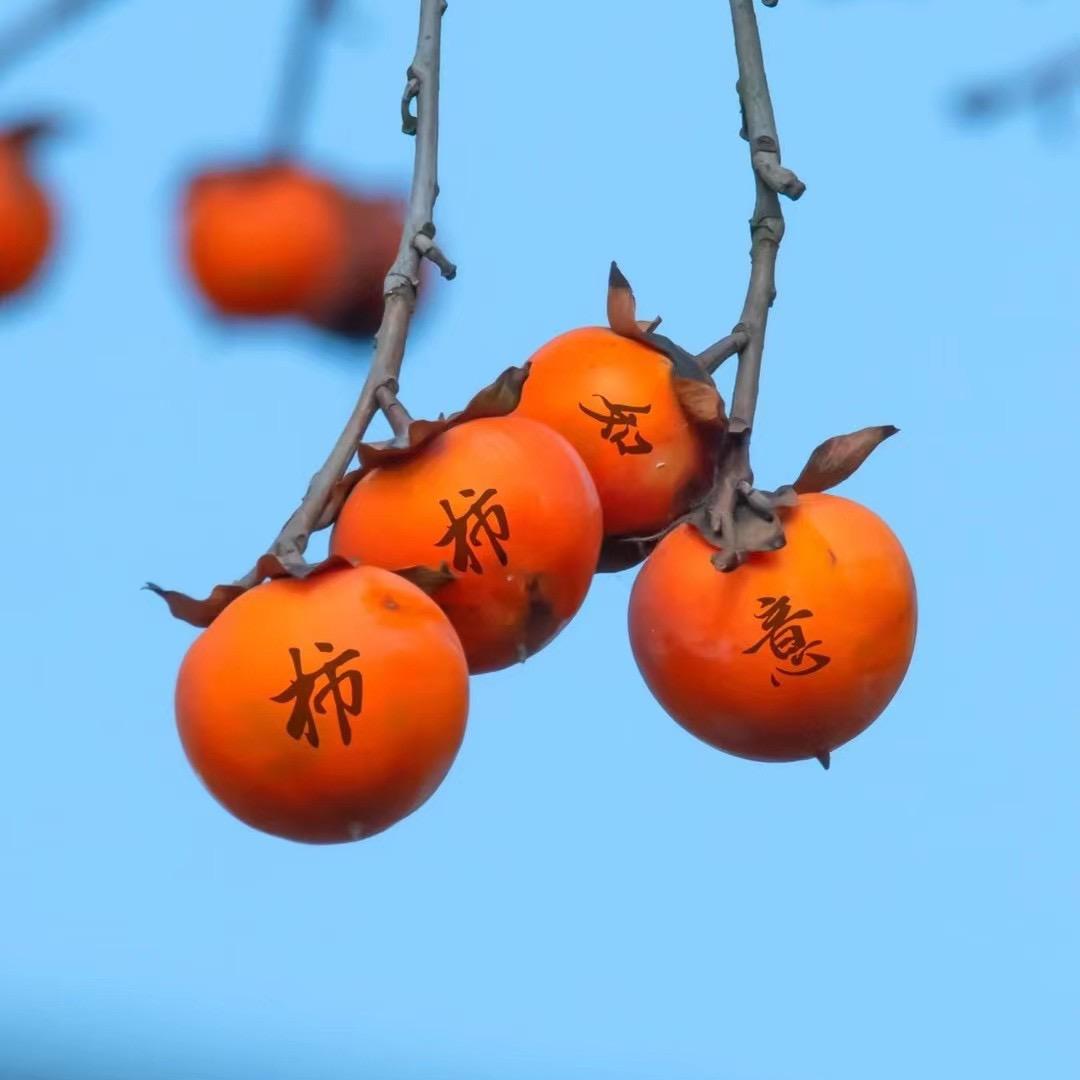 同一片天空🍒