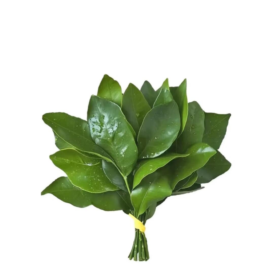 我吃过饭了