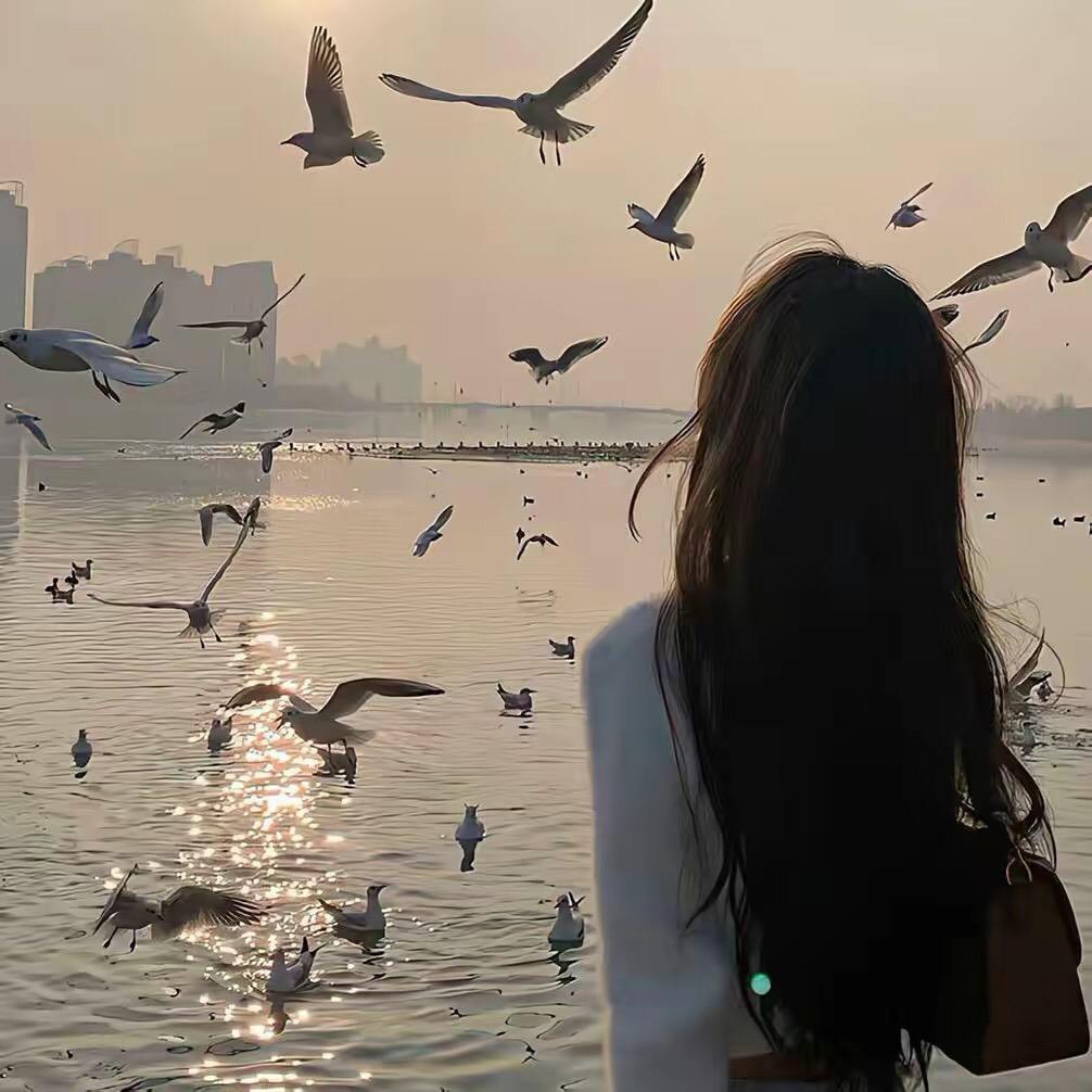 小雨橱窗库