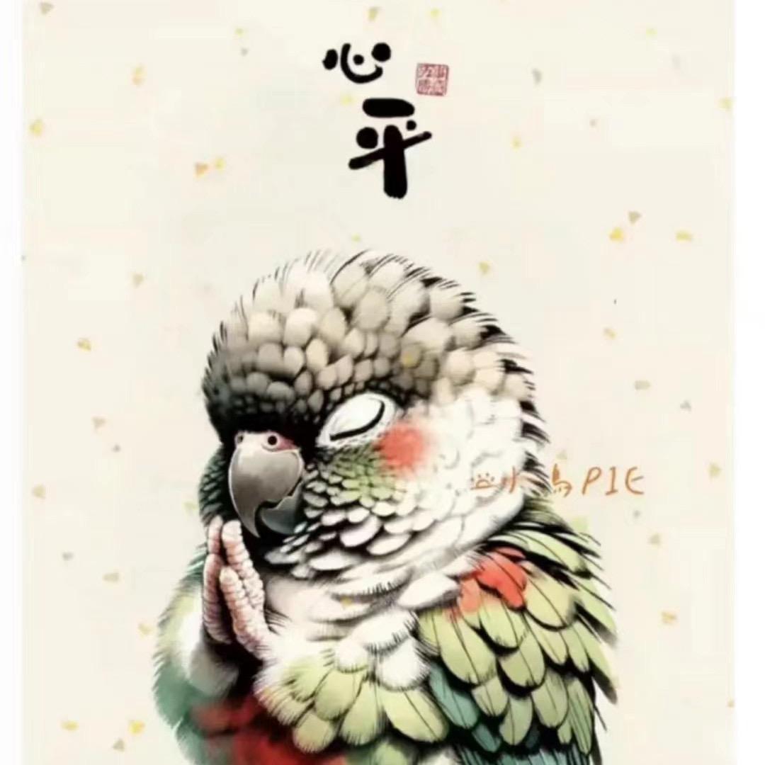 陈小哥的鹦鹉🦜（直播号）