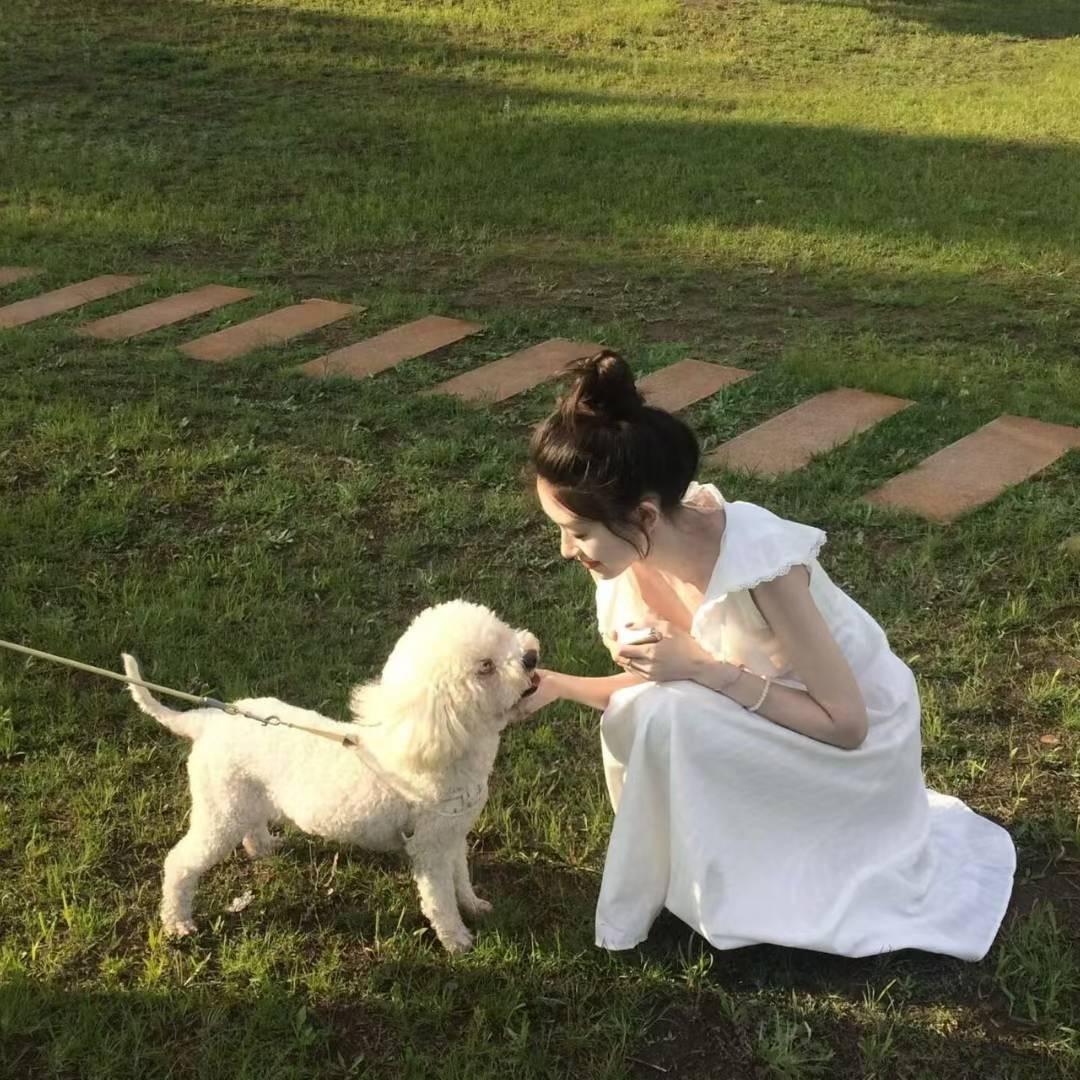 🌷神仙姐姐🎀