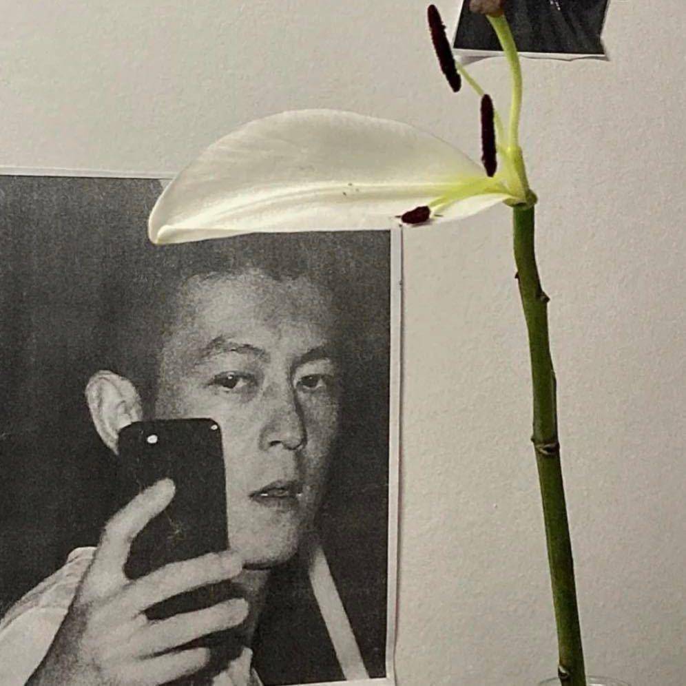 🌸一枝花🌸