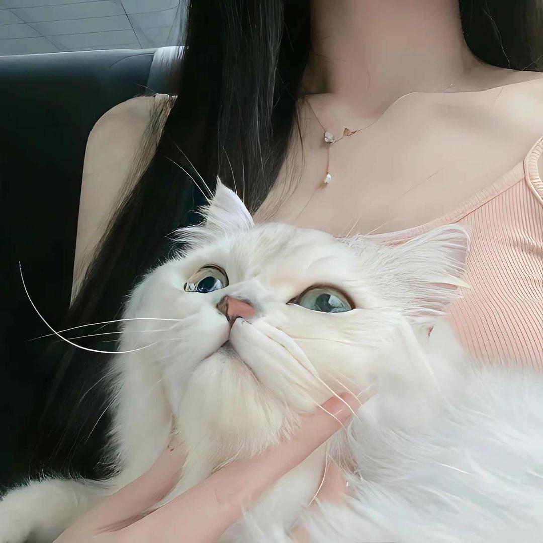 不吃快餐～《连赞拉黑》