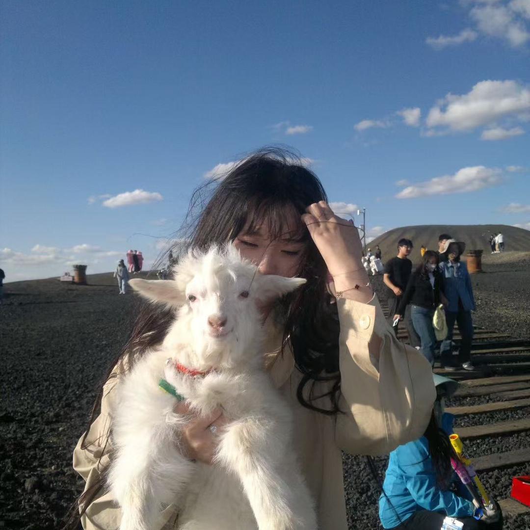 懒洋洋爱吃蛋糕
