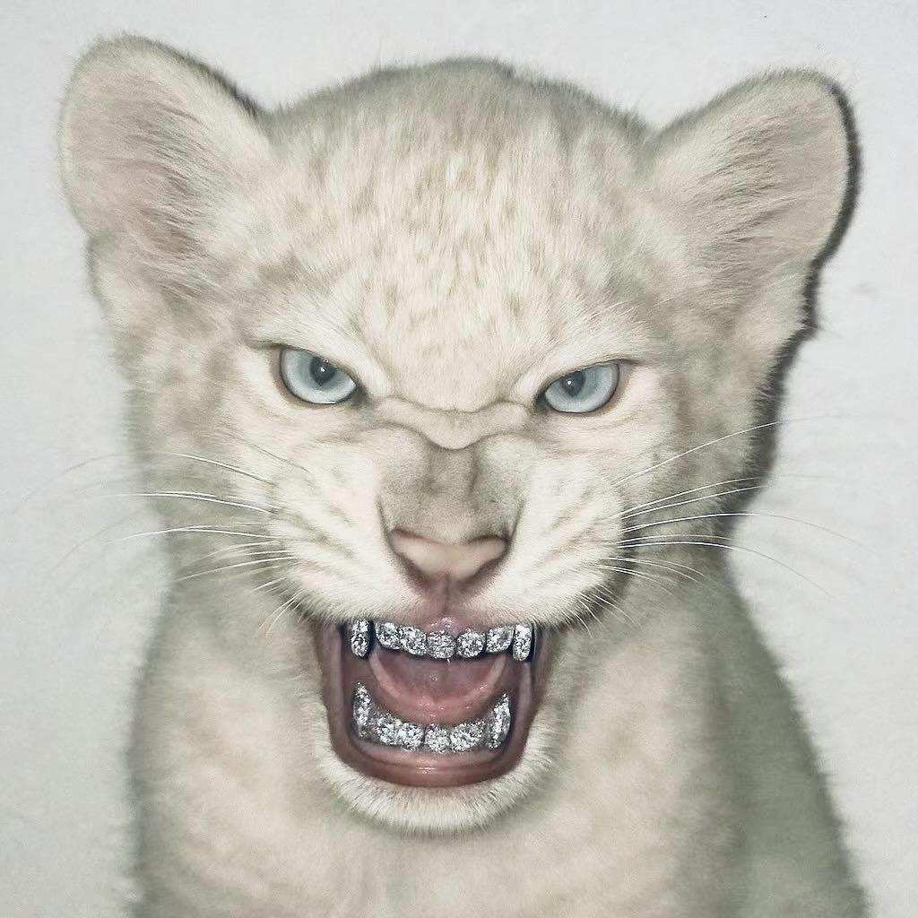 ㅤ︉