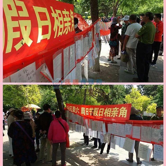 劳动公园公益相亲角