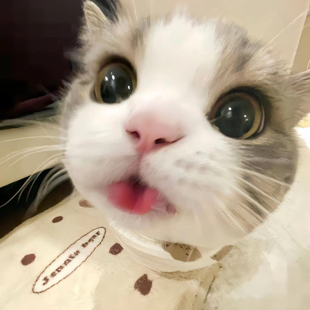 甜汐汐