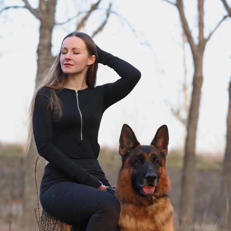 永瑞犬舍 德牧 瑞士牧羊犬