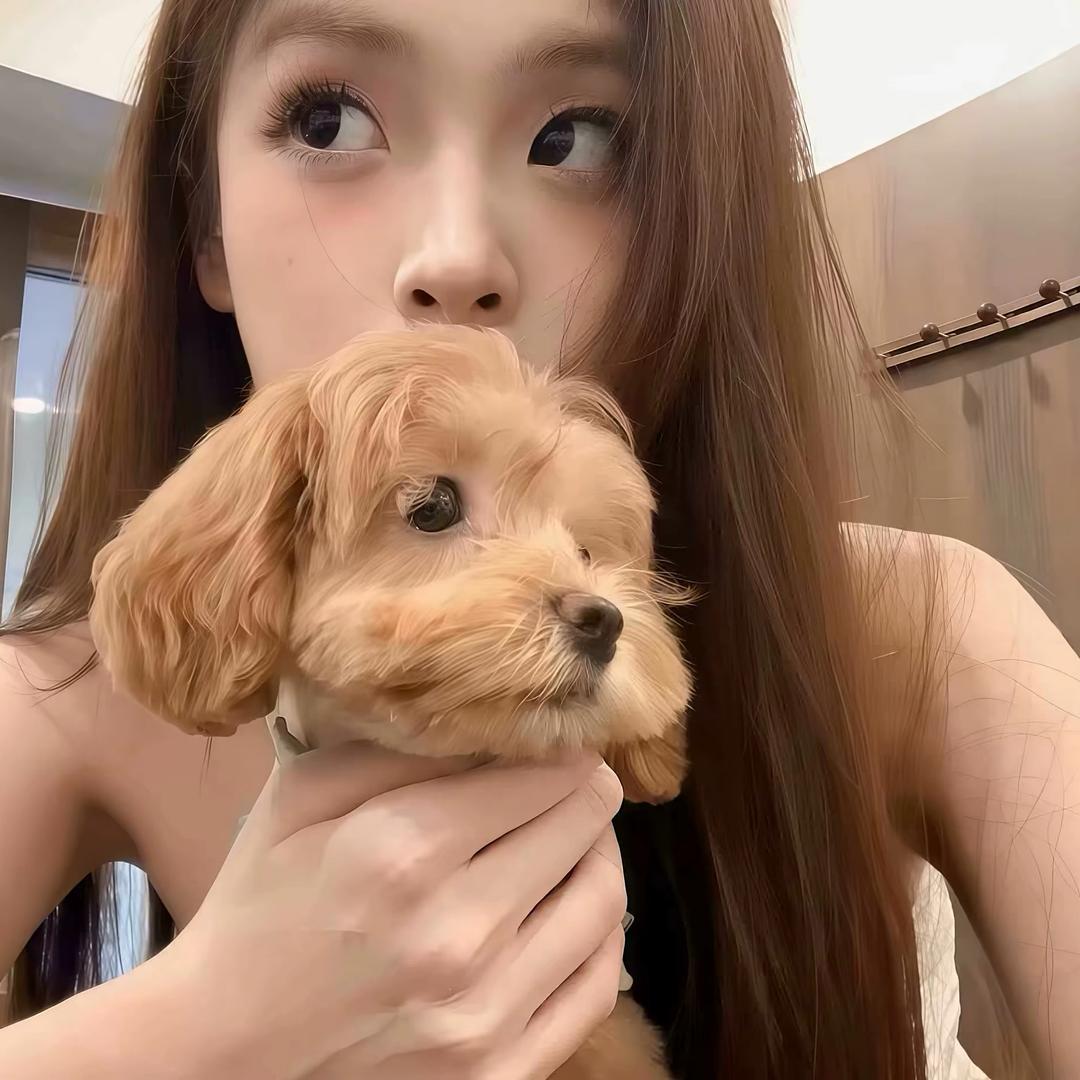 才睡觉