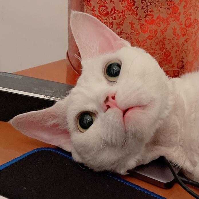 佳
