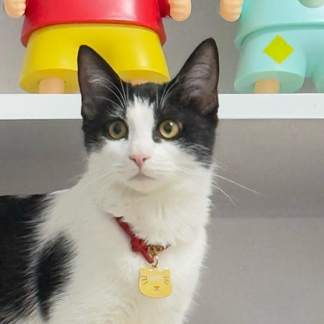 请叫我钱钱🐱