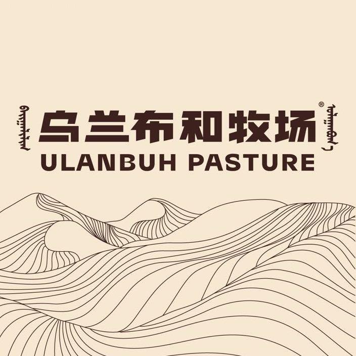 乌兰布和牧场UlanbuhPasture