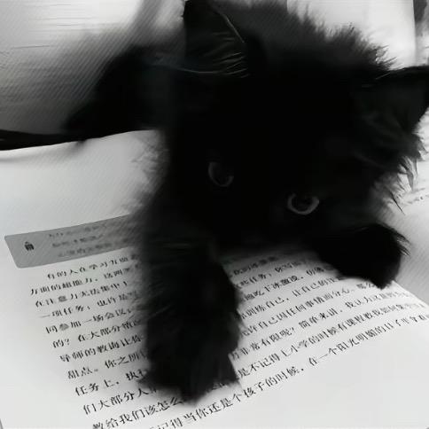 人无完人