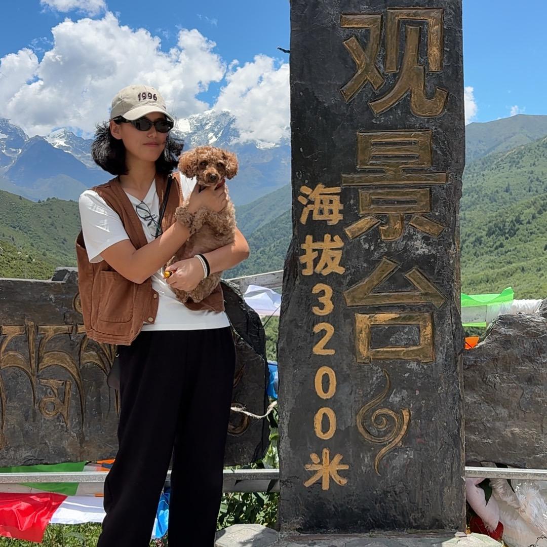 你好金小姐