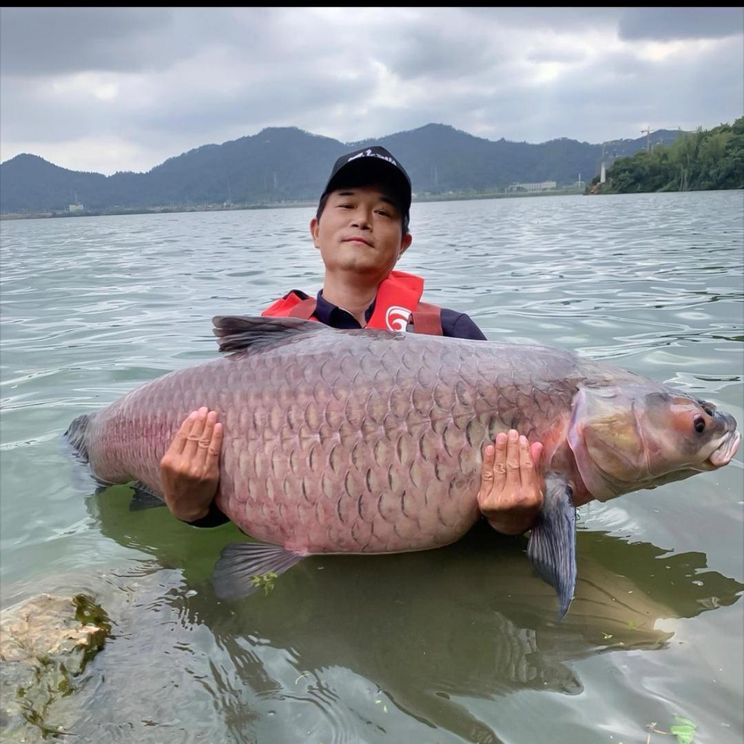 渣渣辉