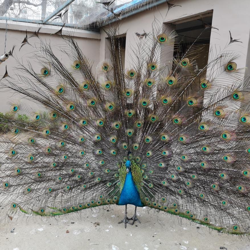 作业进行时✍️