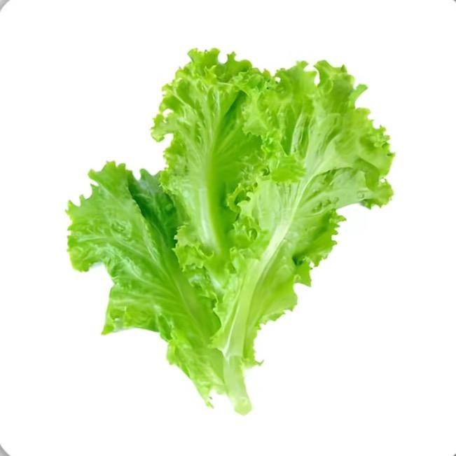 悲伤的驴