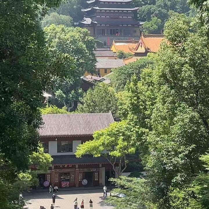 用户5859026606385