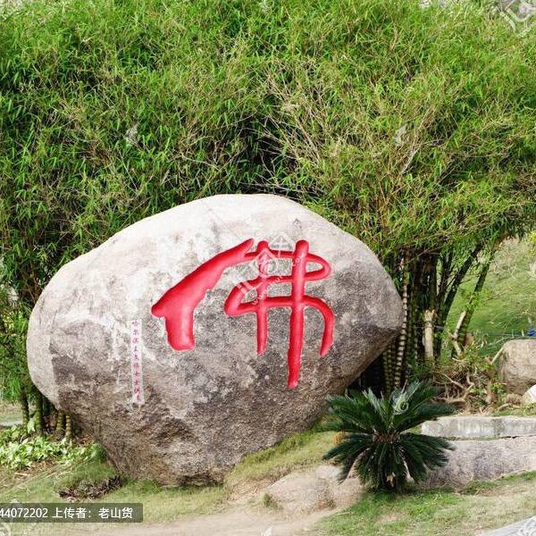 菩提善行