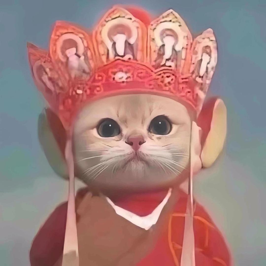 艾米无忧