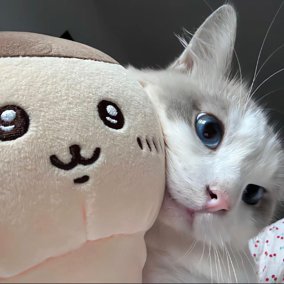 躲雾