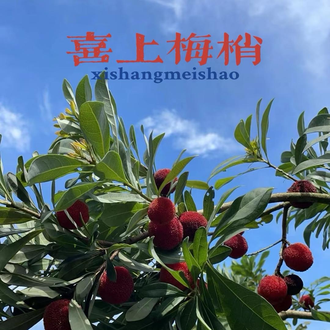 青青果蔬园