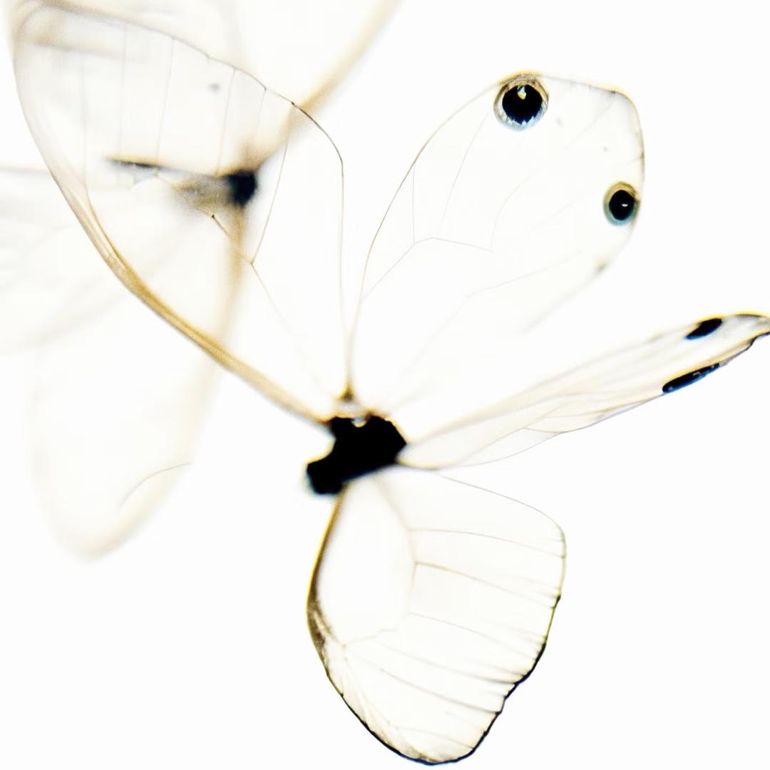 Nu0.17_Crystal