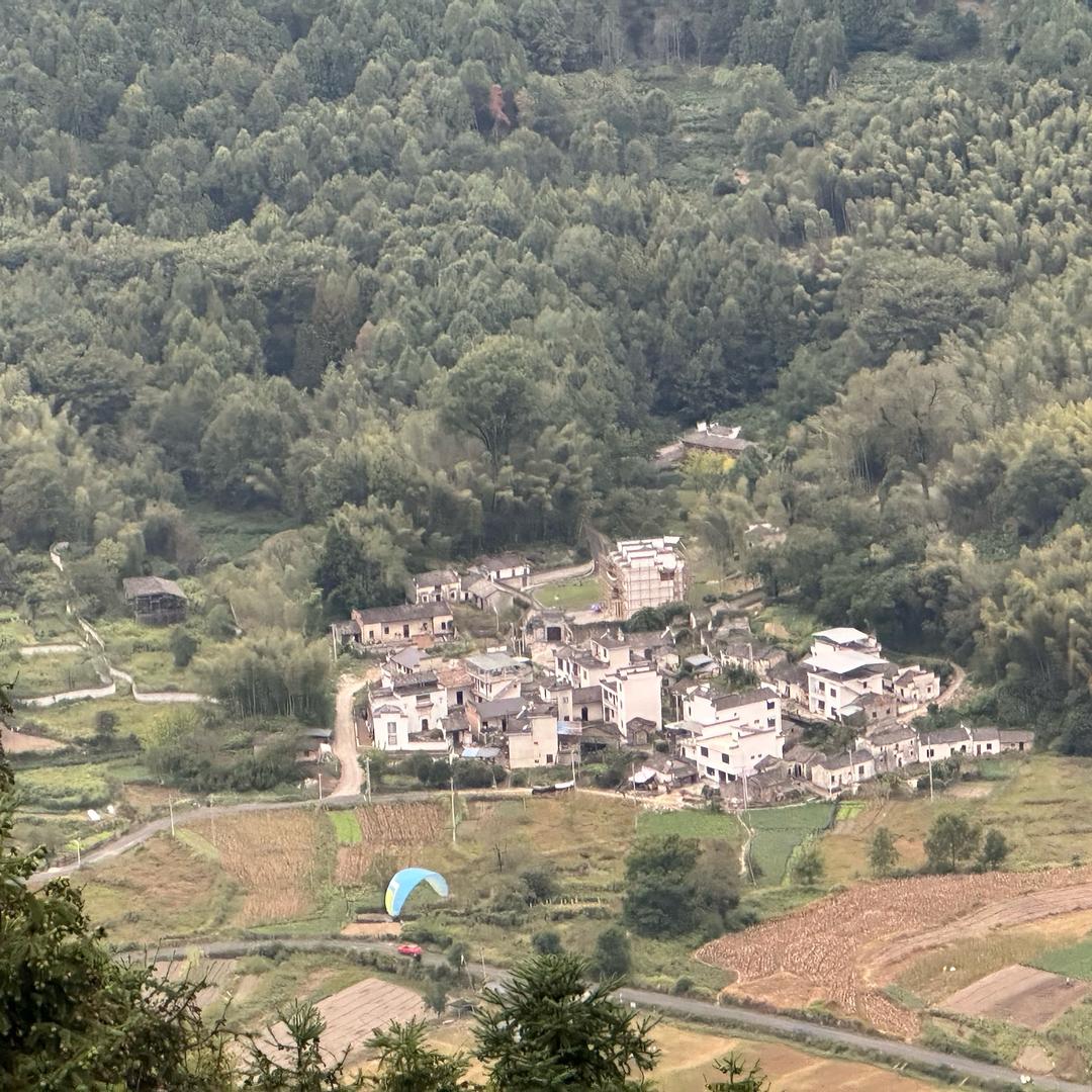 巢柘路胜子