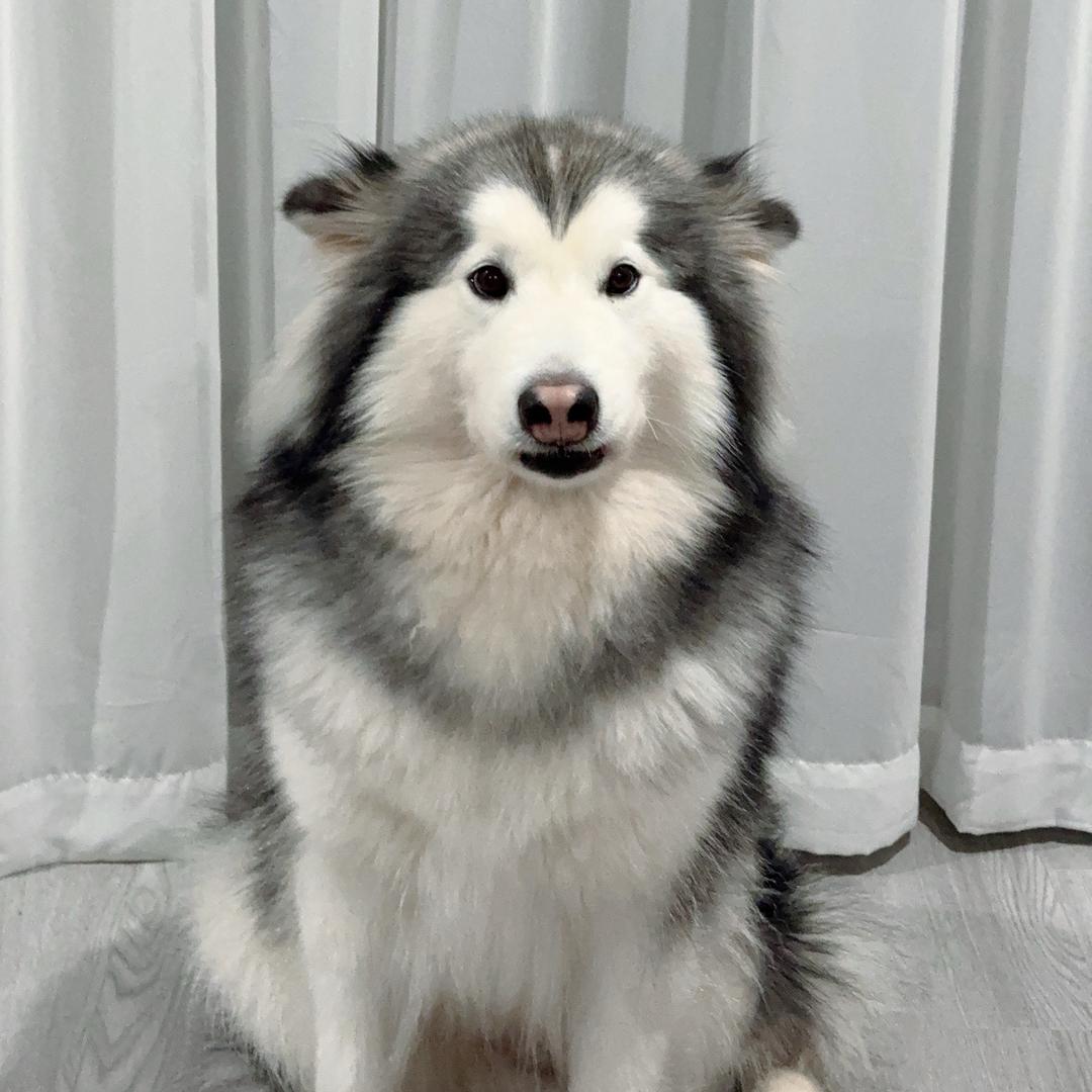 爱生活的lolo
