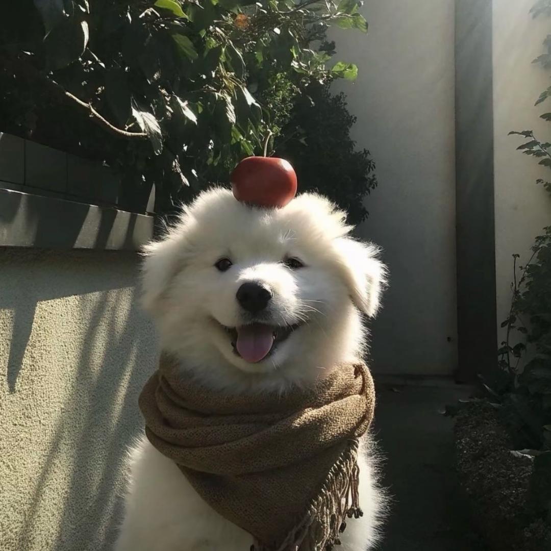 再冷一点