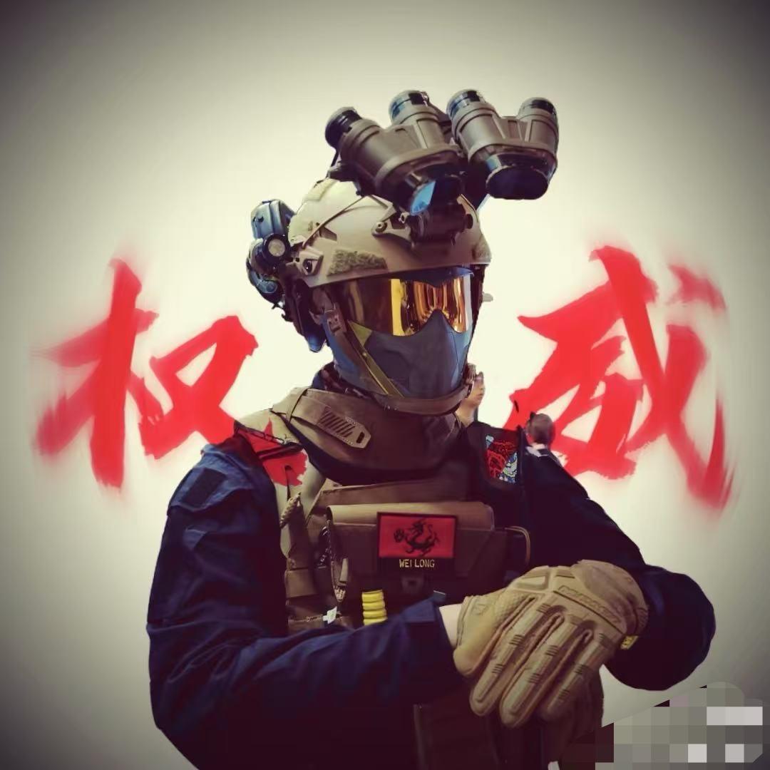 哈基蜂（三角洲评估）