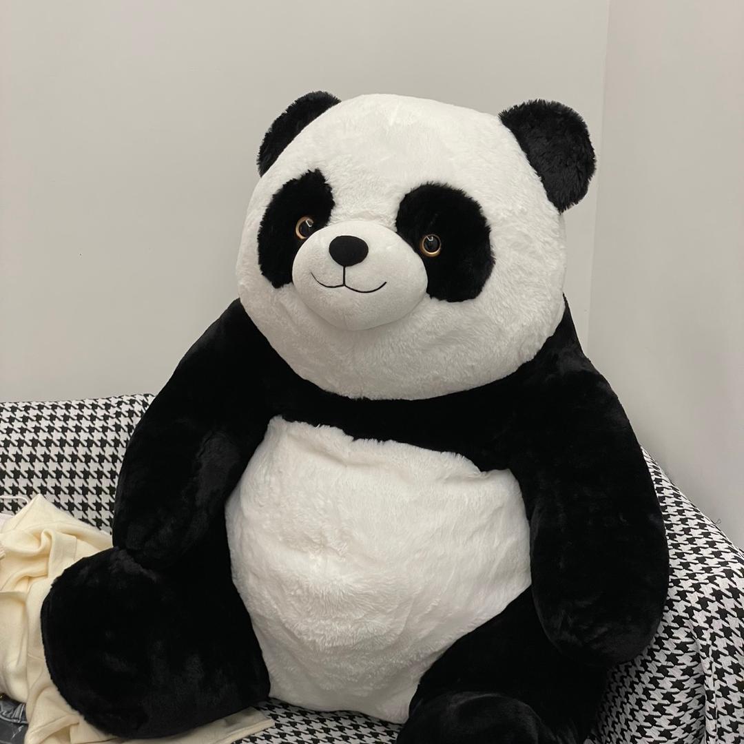 -鱿鱼