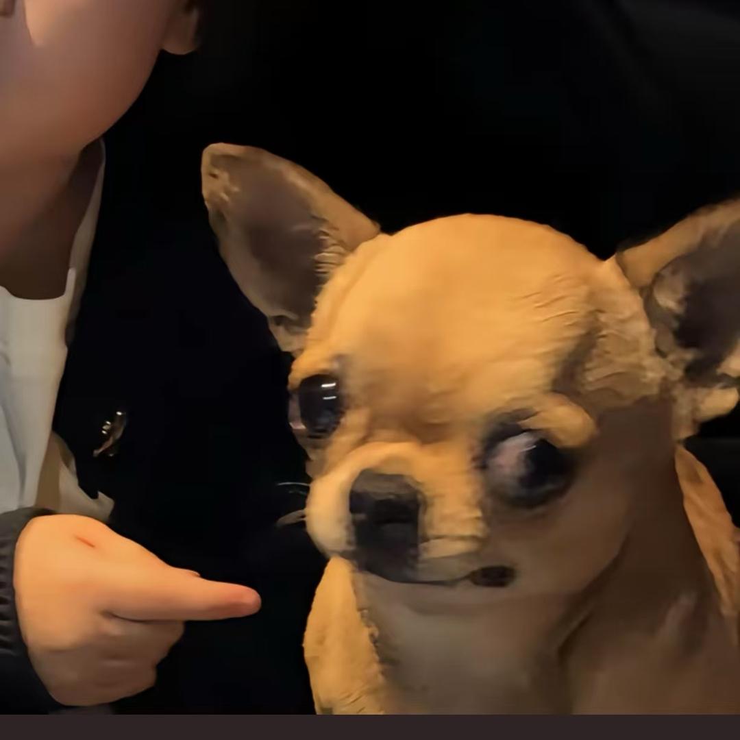 柑橘
