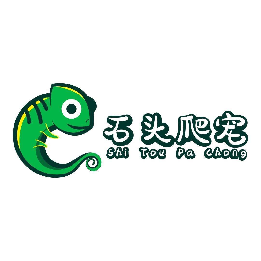 漯河石头爬宠