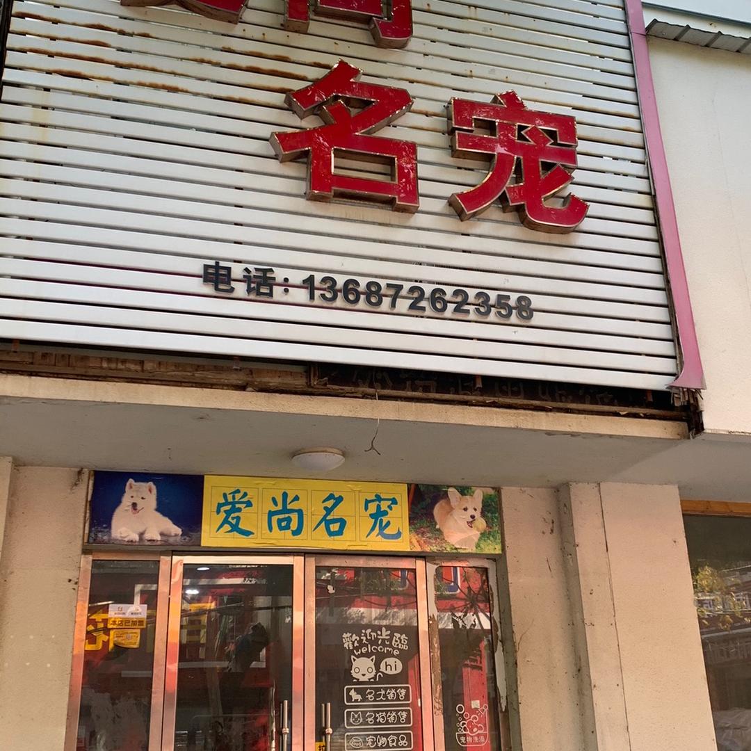 爱尚萌宝宝（小号）