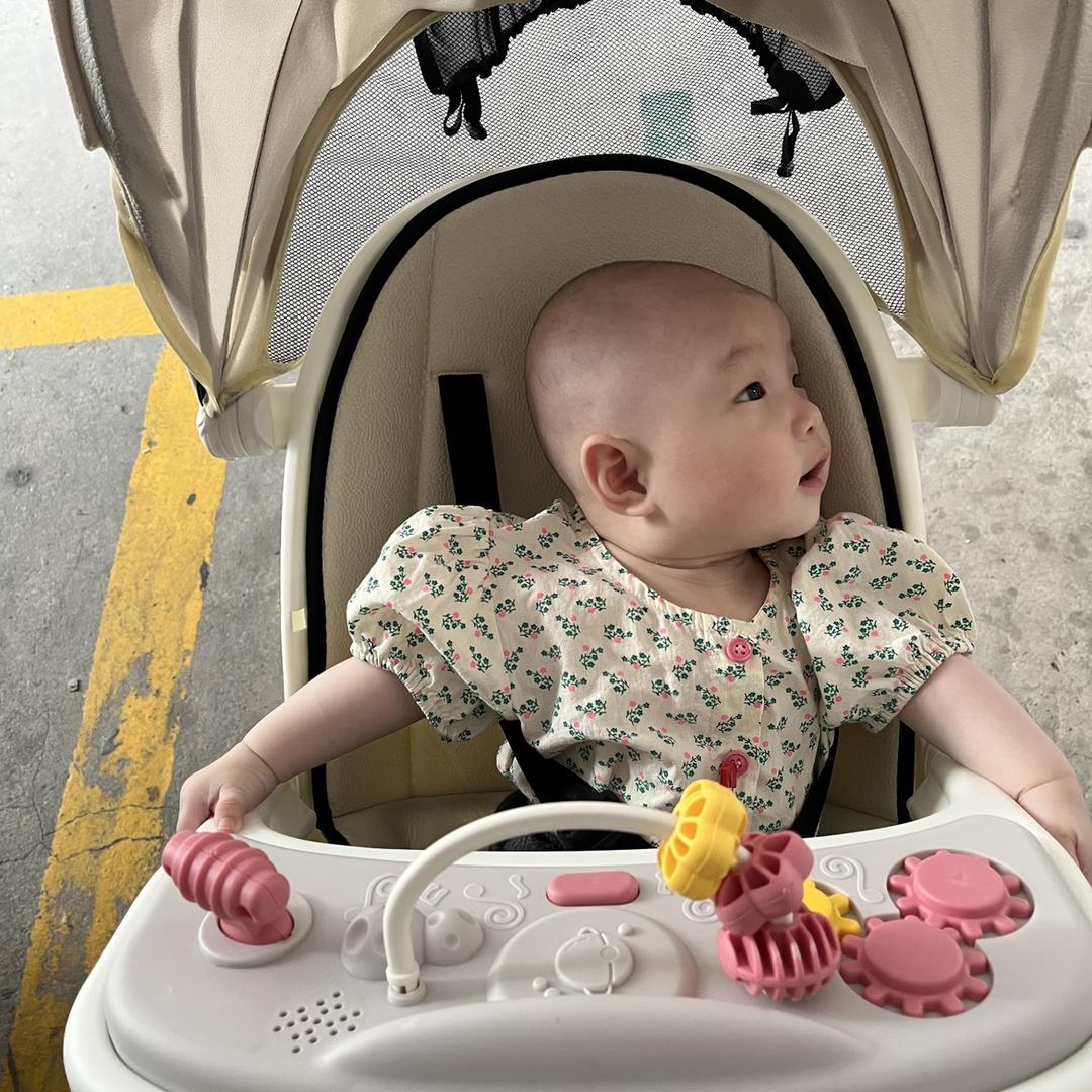 一宁宝宝啦啦猪