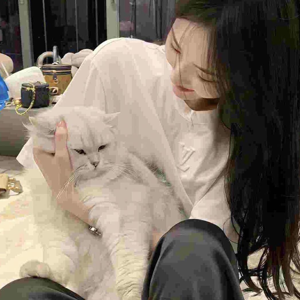 战战的小杨桃