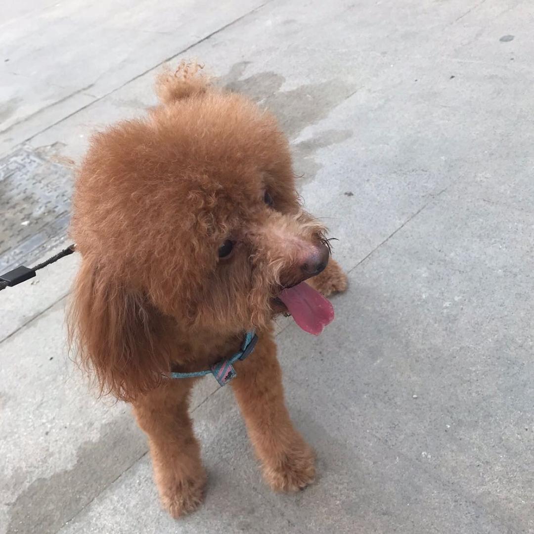 跟着毛豆去旅行