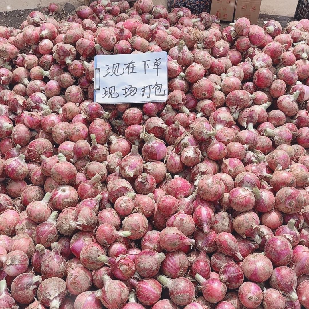 河南特产供应链个体店