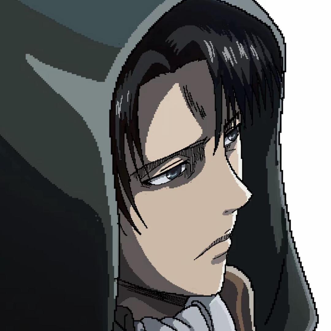 Levi