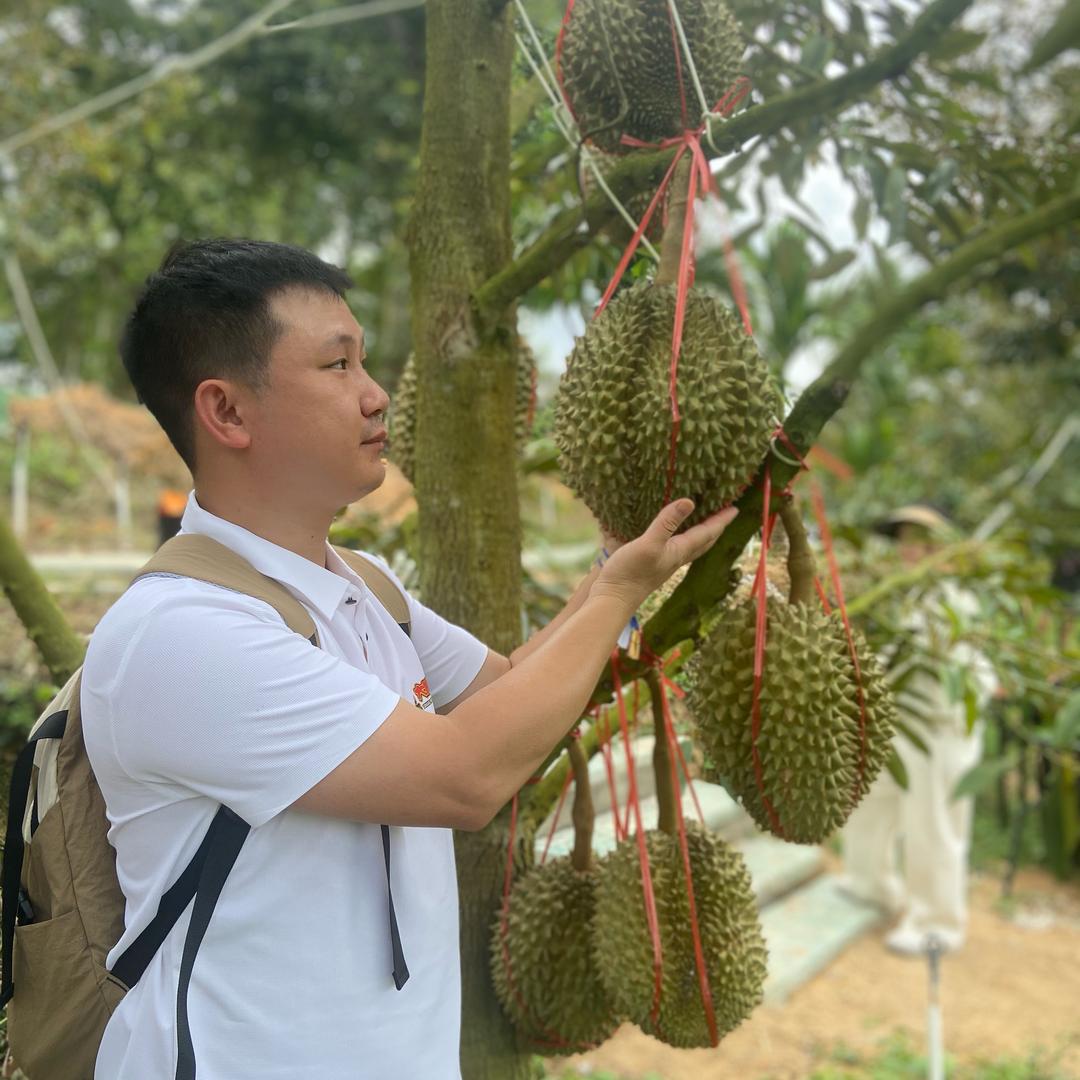 重庆呆呆（卖榴莲去旅行）