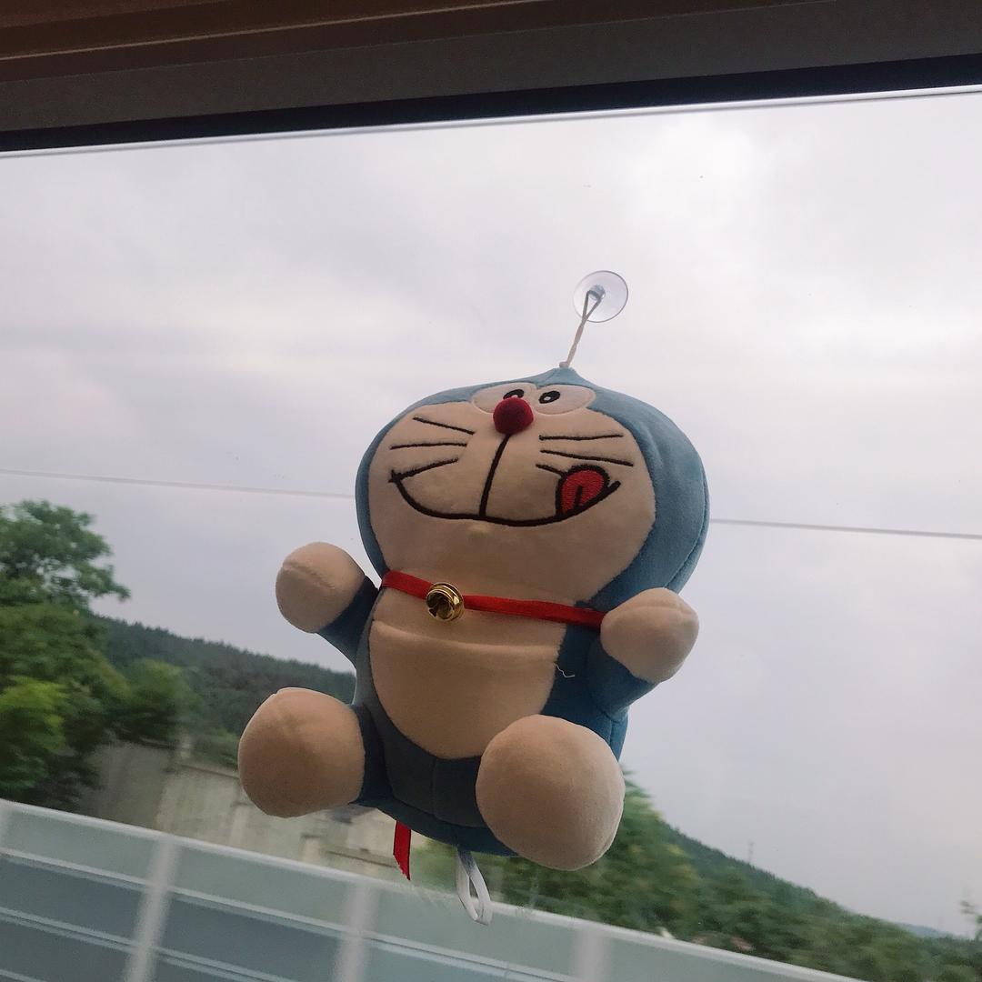 🌈大呲花！