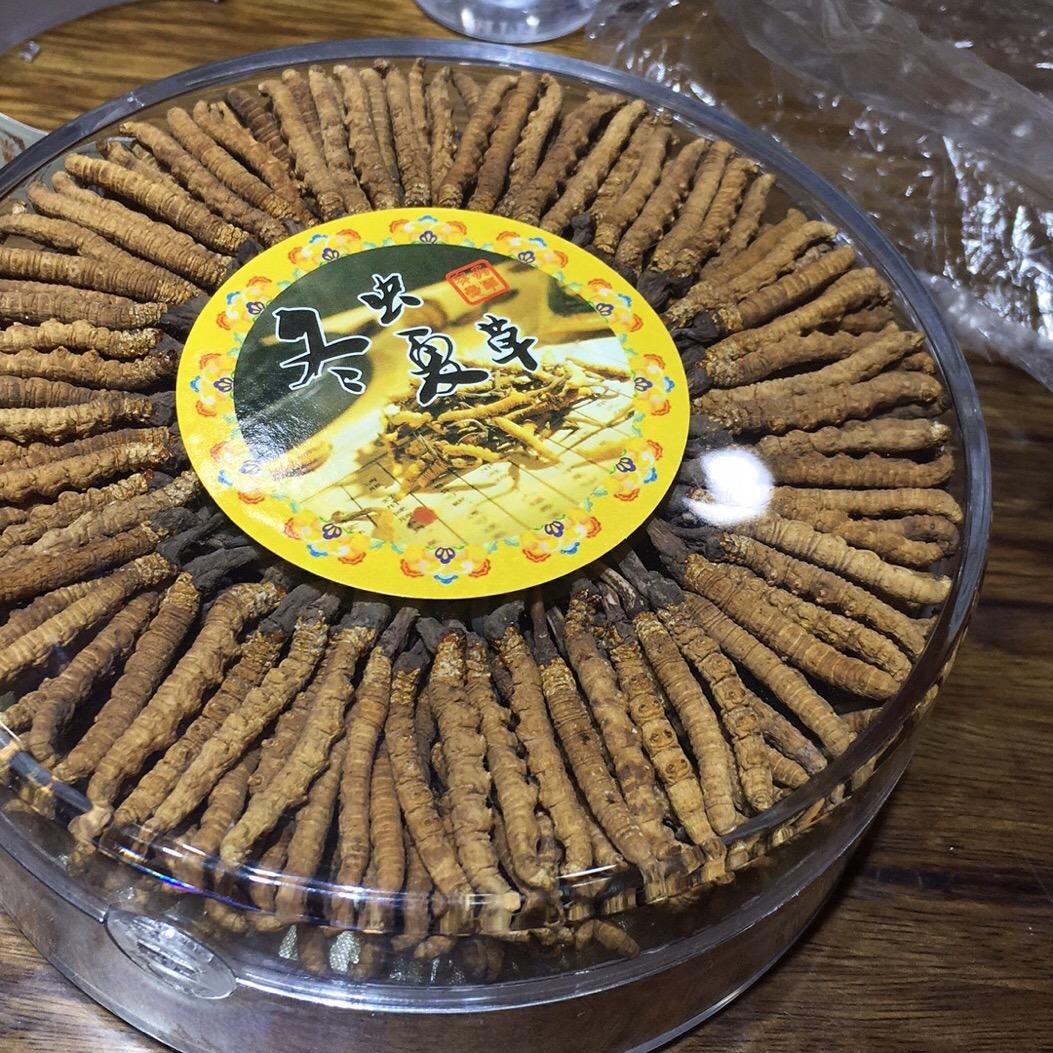 青海特产玉树虫草万乐萍