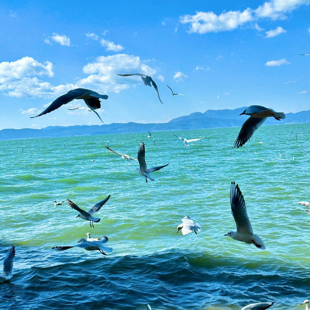 太公钓户外用品钓具