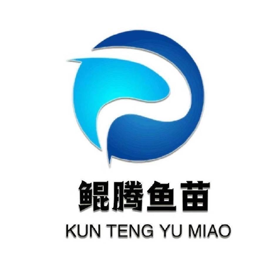 鲲腾水产鱼苗养殖场