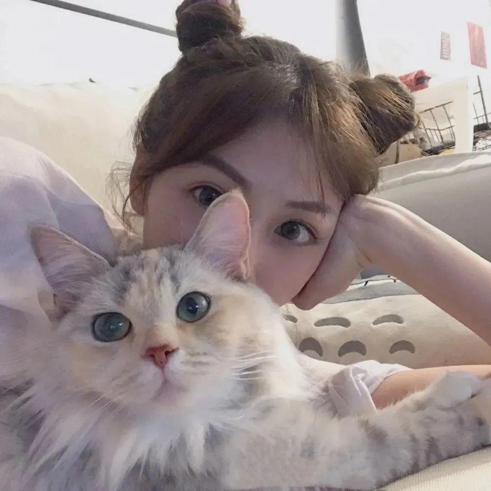糯米的宝藏家