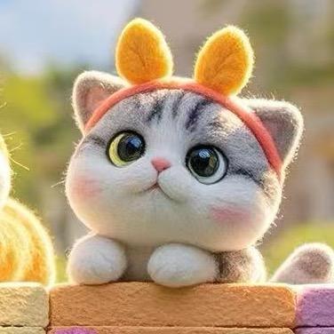 遇上猫猫舍-小鱼