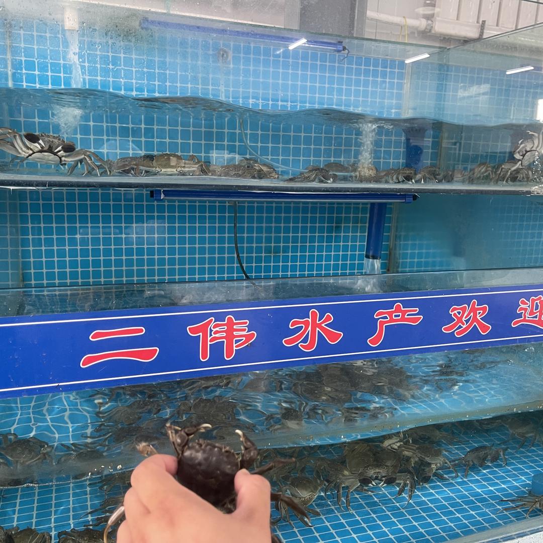 盘锦新发地佐佑水产
