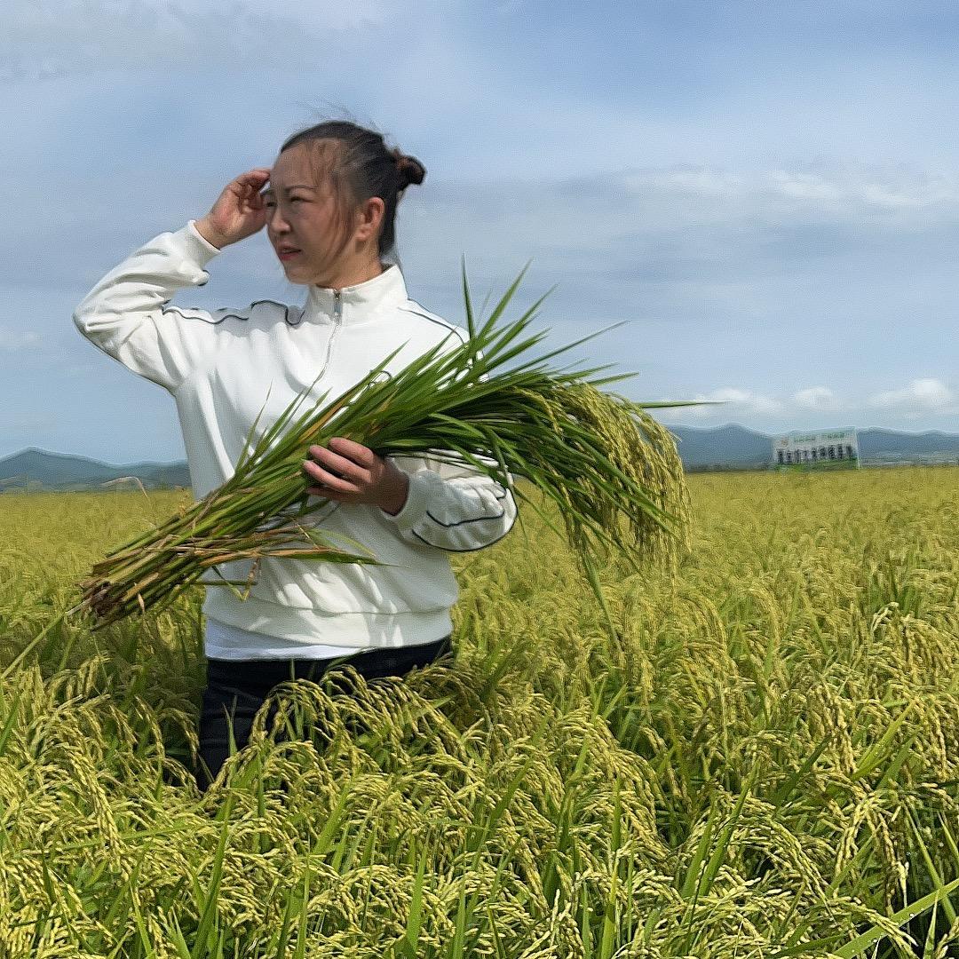 冬梅五常大米（水稻种植合作社）