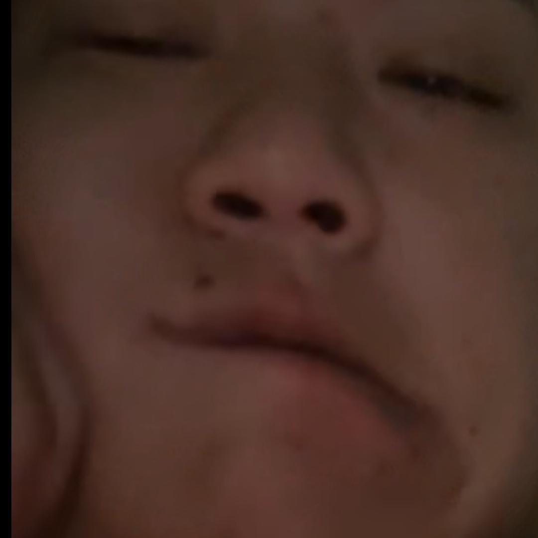 苍松傲世